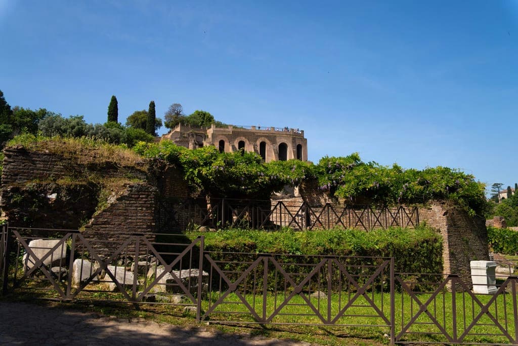Phú Quốc Night Market